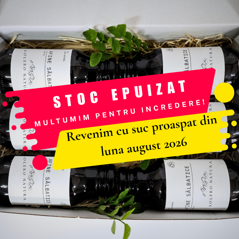 Suc Afine Sălbatice (12 buc)